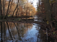 PB080027 1  MÃ¼nchen-Starnberg an der WÃ¼rm : Würm