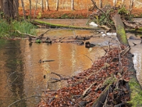 PB080028 1  MÃ¼nchen-Starnberg an der WÃ¼rm : Würm