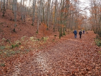 PB080030 1  MÃ¼nchen-Starnberg an der WÃ¼rm : Würm