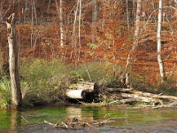 PB080031 1  MÃ¼nchen-Starnberg an der WÃ¼rm : Würm