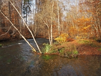 PB080034 1  MÃ¼nchen-Starnberg an der WÃ¼rm : Würm
