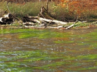 PB080035 1  MÃ¼nchen-Starnberg an der WÃ¼rm : Würm