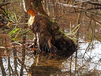 PB080042 1  MÃ¼nchen-Starnberg an der WÃ¼rm : Würm