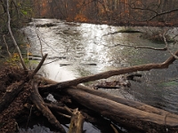 PB080044 1  MÃ¼nchen-Starnberg an der WÃ¼rm : Würm