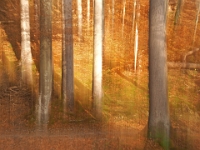 PB080047 1  MÃ¼nchen-Starnberg an der WÃ¼rm : Würm