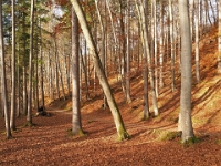 PB080058 1  MÃ¼nchen-Starnberg an der WÃ¼rm : Würm