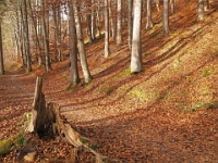 PB080060 1  MÃ¼nchen-Starnberg an der WÃ¼rm : Würm