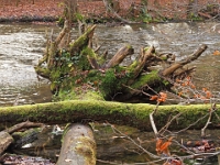 PB080062 1  MÃ¼nchen-Starnberg an der WÃ¼rm : Würm