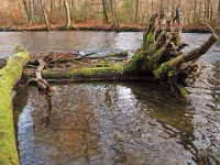 PB080064 1  MÃ¼nchen-Starnberg an der WÃ¼rm : Würm