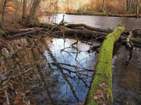 PB080065 1  MÃ¼nchen-Starnberg an der WÃ¼rm : Würm