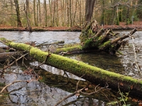 PB080067 1  MÃ¼nchen-Starnberg an der WÃ¼rm : Würm