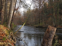 PB080071 1  MÃ¼nchen-Starnberg an der WÃ¼rm : Würm