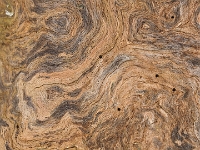 PB080074 1  MÃ¼nchen-Starnberg an der WÃ¼rm : Würm