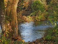 PB080088 1  MÃ¼nchen-Starnberg an der WÃ¼rm : Würm