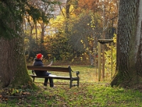 PB080089 1  MÃ¼nchen-Starnberg an der WÃ¼rm : Würm