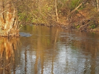 PB080093 1  MÃ¼nchen-Starnberg an der WÃ¼rm : Würm