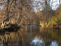 PB080102 1  MÃ¼nchen-Starnberg an der WÃ¼rm : Würm