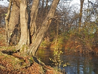 PB080105 1  MÃ¼nchen-Starnberg an der WÃ¼rm : Würm