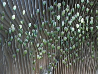 im Museum  Juedisches Museum Berlin, Mai 2022 : Jüdisches Museum, Berlin, Mai 2022