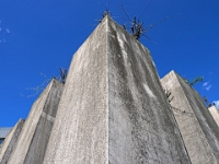 Stelen im Aussenbereich  Juedisches Museum Berlin, Mai 2022 : Jüdisches Museum, Berlin, Mai 2022