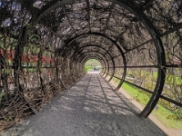 im Garten  Juedisches Museum Berlin, Mai 2022 : Jüdisches Museum, Berlin, Mai 2022