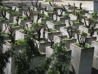 Stelen im Aussenbereich  Juedisches Museum Berlin, Mai 2022 : Jüdisches Museum, Berlin, Mai 2022