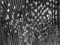 im Inneren des Museums  Jüdisches Museum Berlin, Mai 2022 : Jüdisches Museum, Berlin, Mai 2022