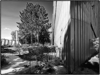 Aussenansichten  Jüdisches Museum Berlin, Mai 2022 : Jüdisches Museum, Berlin, Mai 2022