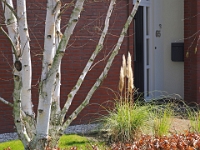 P4113133 1  Roombeek : Roombeek, Enschede, Niederlande