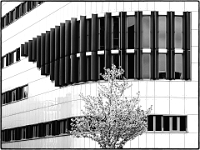 P4113270 SW 1  Roombeek