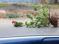 Leibzig-Altstadt 32  Leipzig im August 2020 : Leipzig, 2020