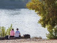entlang der Elbe  Magdeburg Oktober 2019 : Magdeburg
