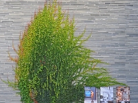 Oslo 2022  Nationalmuseum