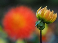Oslo 2022  Skulpturenpark Vigeland