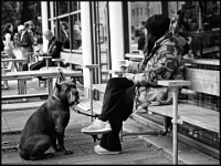 Oslo 2022  Stadtspaziergang : Oslo, 2022