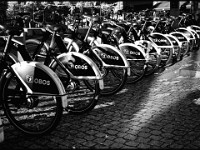 Oslo 2022  Stadtspaziergang : Oslo, 2022