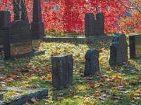 Oslo 2022  Friedhof um die Gamle Aker kirke : Oslo, 2022