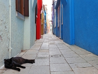 Burano 17  Burano