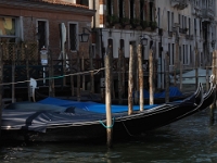 Venedig F 23  Venedig August 2020