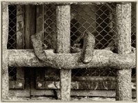 Venedig 42  Spaziergang durch Venedig