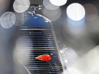 PB030093 1  Autostadt Wolfsburg : 2021, PS-Speicher, Einbeck