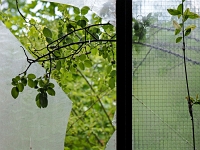 Maxhuette 31  Maxhütte