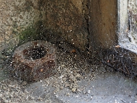 Maxhuette 33  Maxhütte