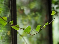 Maxhuette 34  Maxhütte