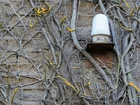 Maxhuette 38  Maxhütte