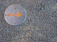 Natur kommt zurück  Voelklinger Huette