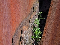 Verwitterung  Voelklinger Huette