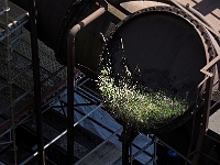 Natur kommt zurück  Voelklinger Huette