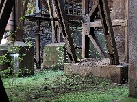Natur kommt zurück  Voelklinger Huette