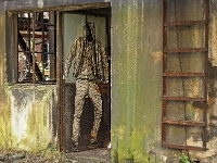 Natur kommt zurück  UrbanArt Biennale® 2017: Levalet, L‘intrus